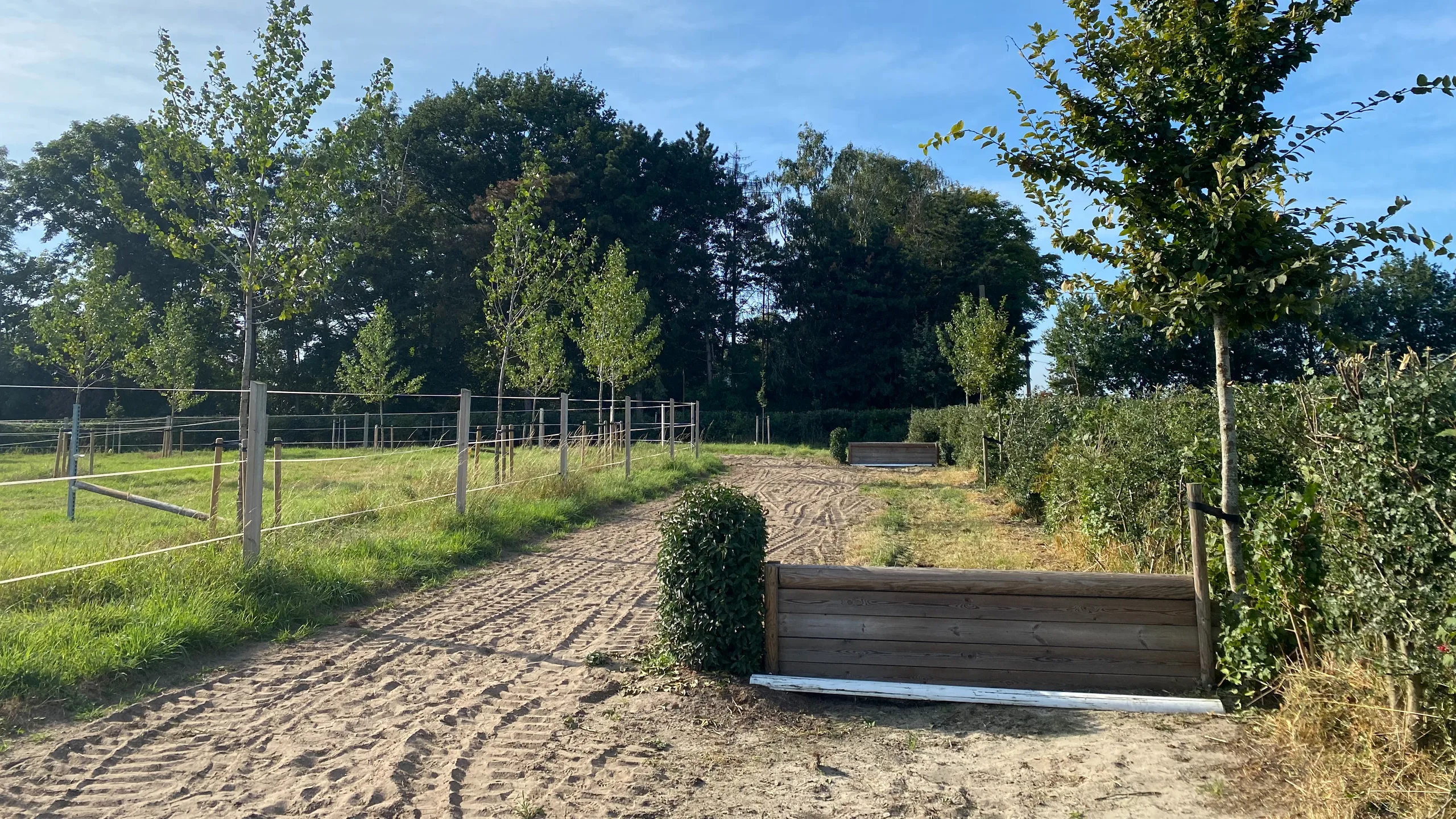 Galoppad met cross-hindernissen